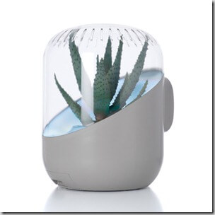 Andrea-plant-air-purifier-aloe