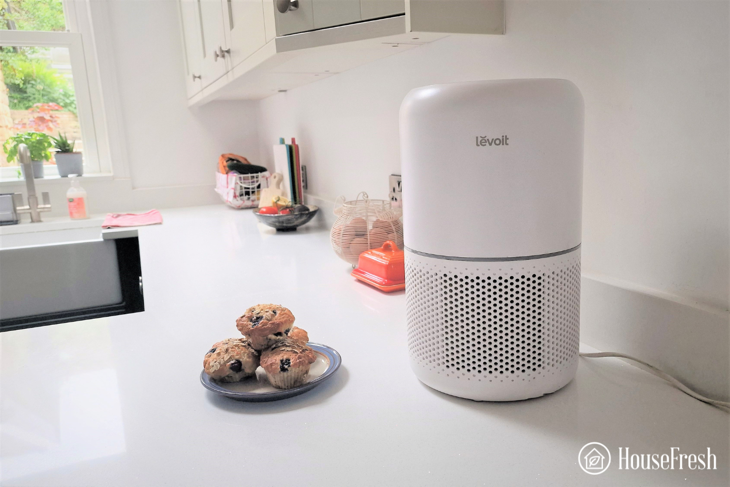 shoppers say this air purifier can help ease congestion