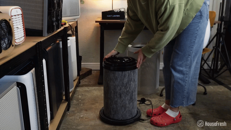 Dyson BigQuiet Carbon Filter