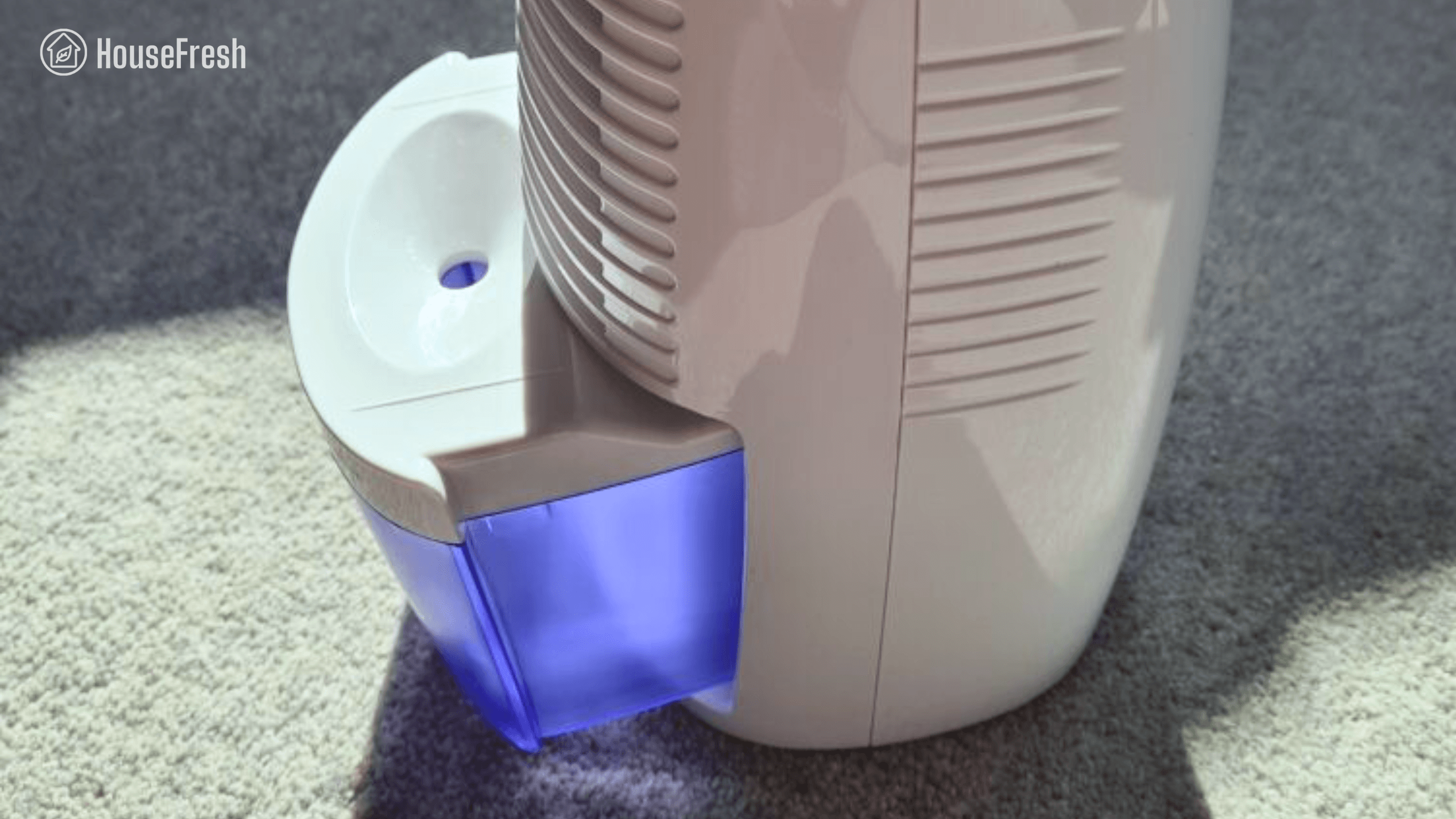 ProBreeze Mini Container