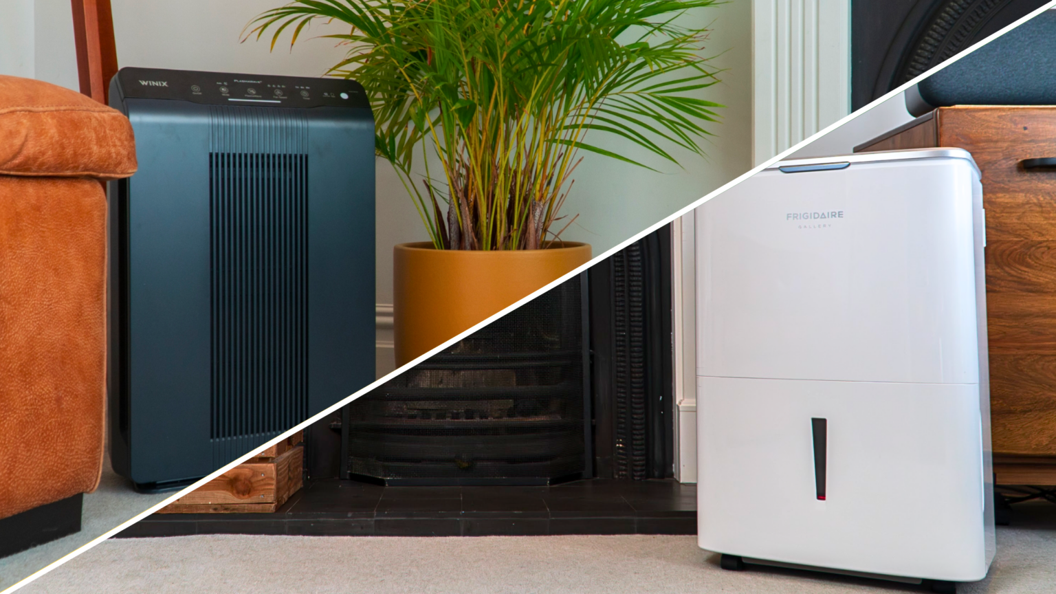 Air purifier vs dehumidifier key differences HouseFresh