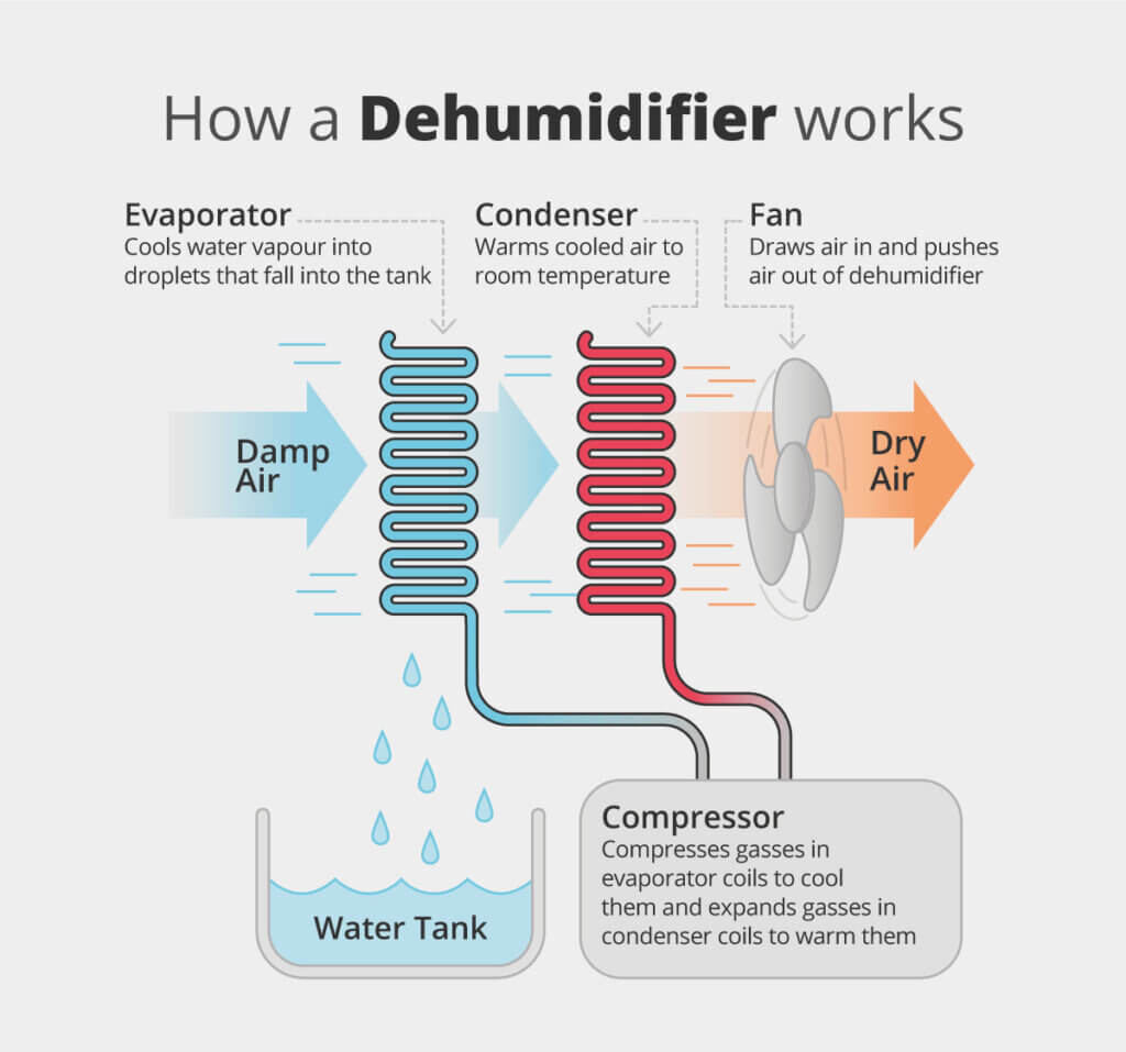 Why is my dehumidifier not collecting water? HouseFresh