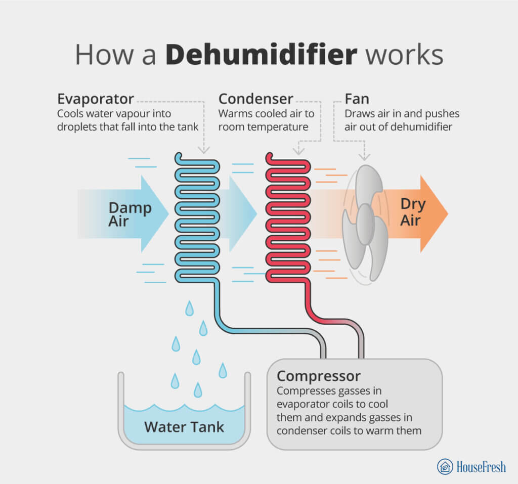 What does a dehumidifier do? HouseFresh