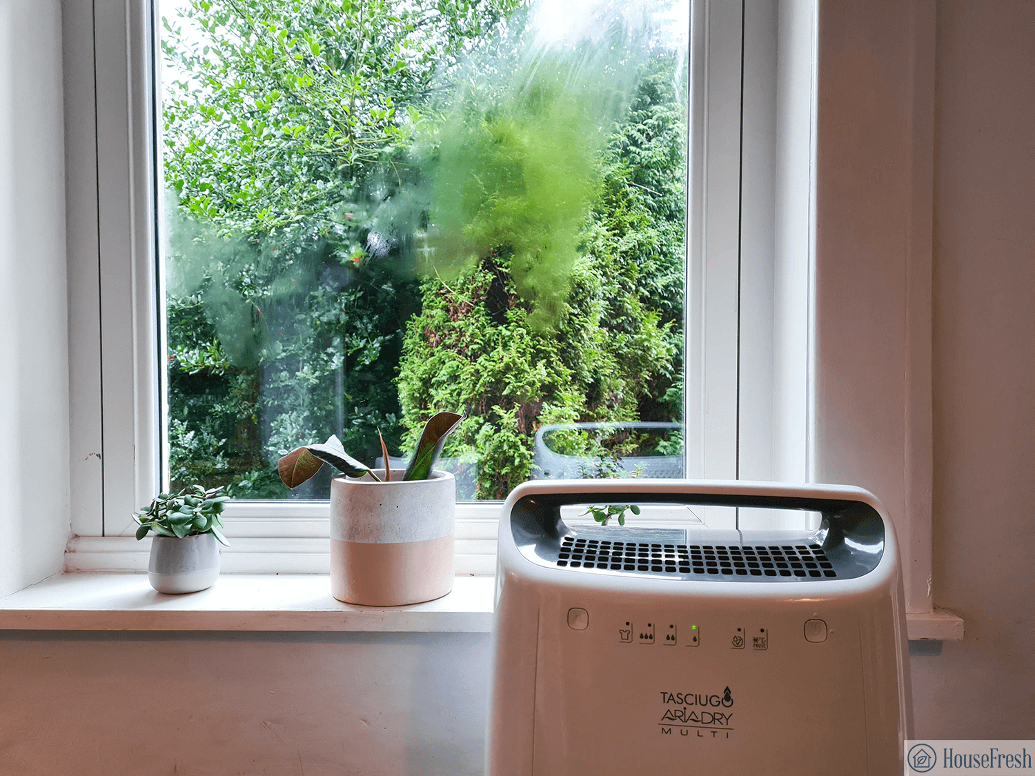 How to Use a Dehumidifier in Your Home