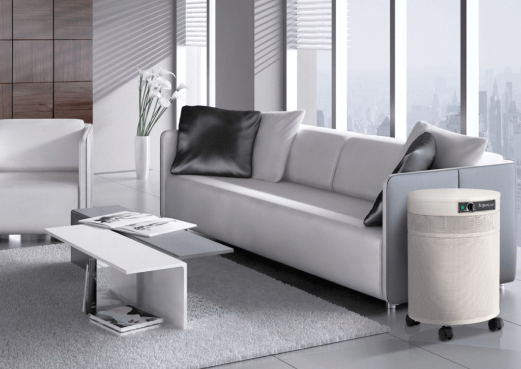 6 Best Air Purifiers For VOCs HouseFresh