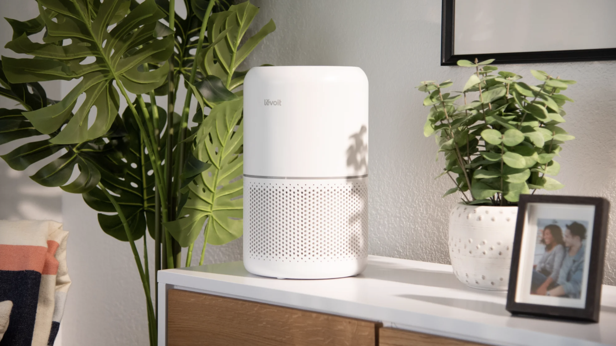 7 Best Air Purifiers For Vaping [We Tested] HouseFresh