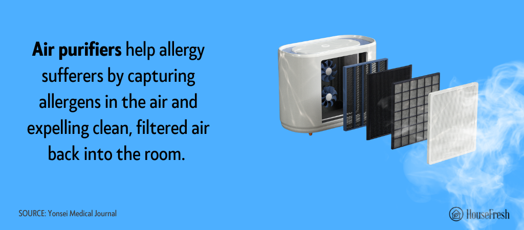 Air purifier benefits on sale for allergies