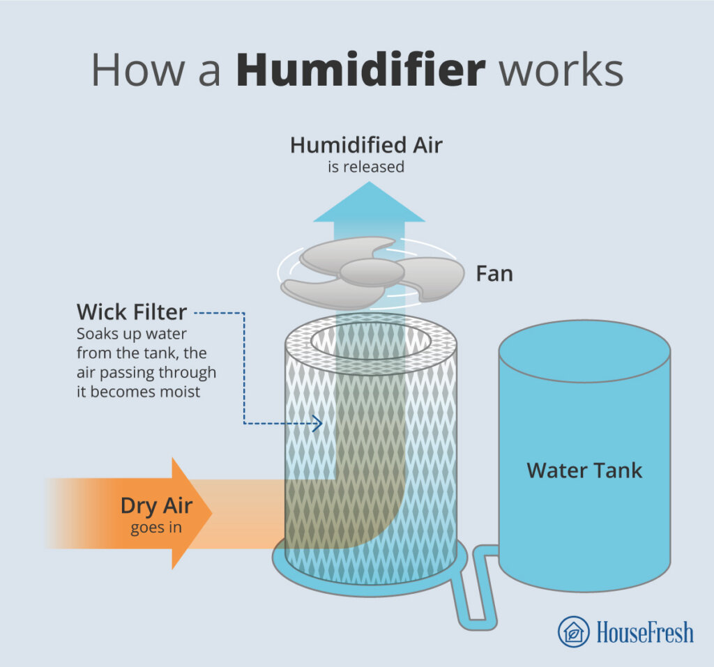 Humidifiers vs. Diffusers what's the difference? HouseFresh