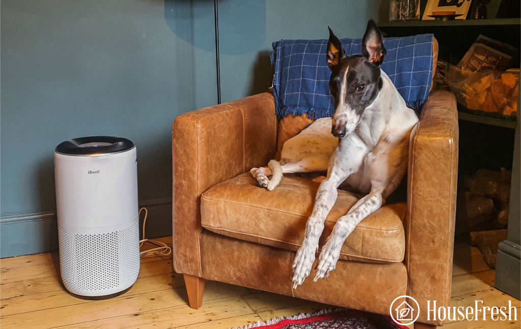 Levoit Core 400S review - HouseFresh