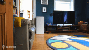 Coway Airmega ProX TV Room