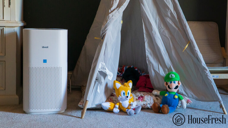 View of The best air purifiers for basements we tested at HouseFresh