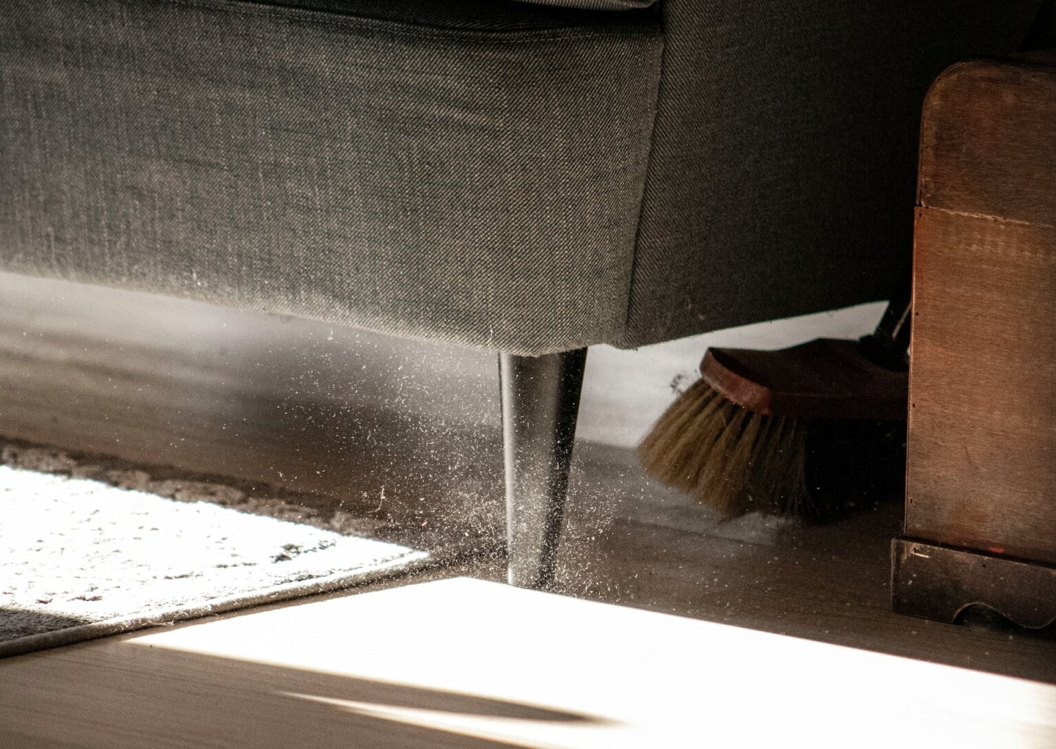What Is Household Dust : What is dust made of? – SUYQ