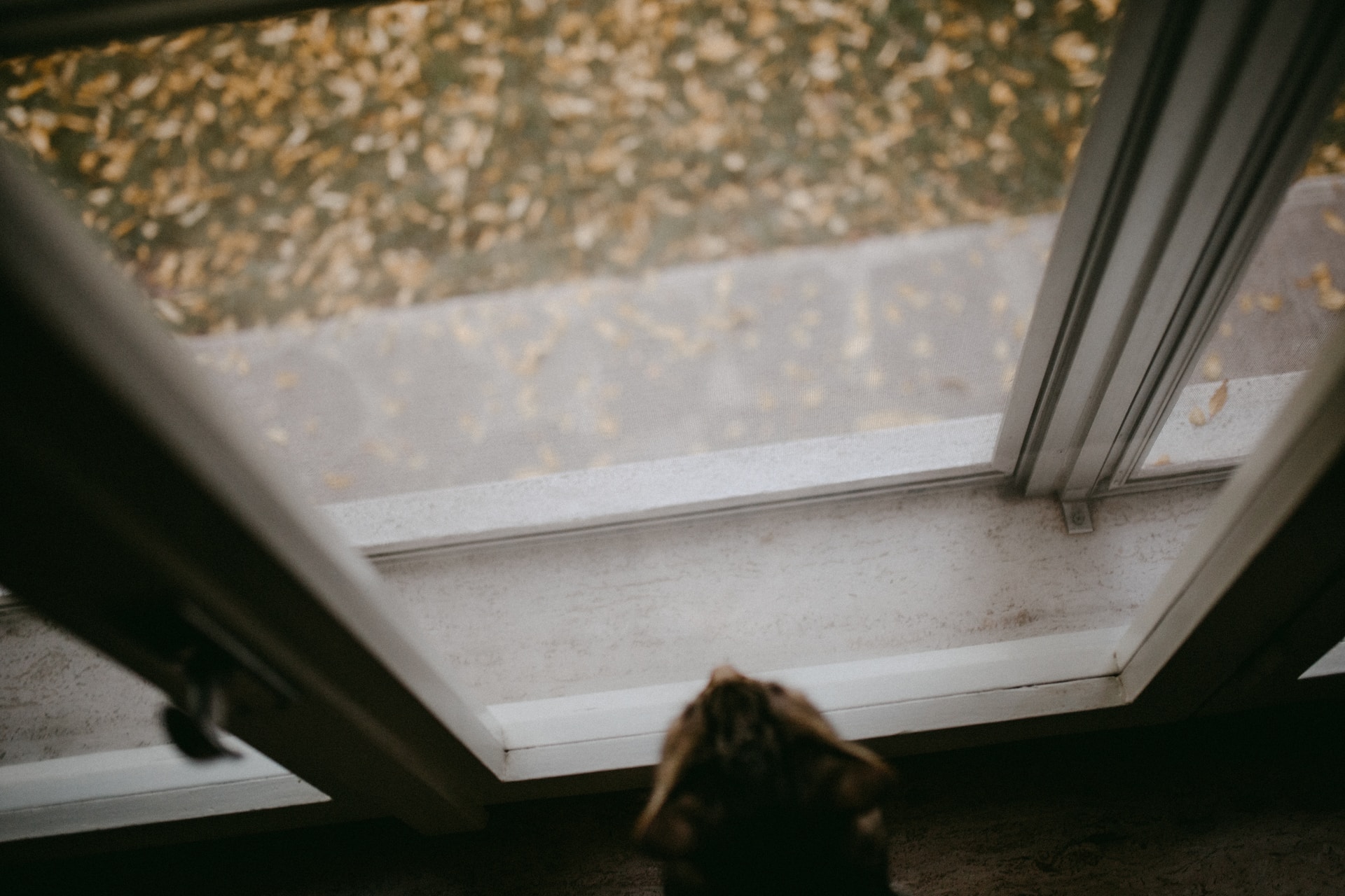 housefresh-blog-faqs-studies-guides-on-air-quality