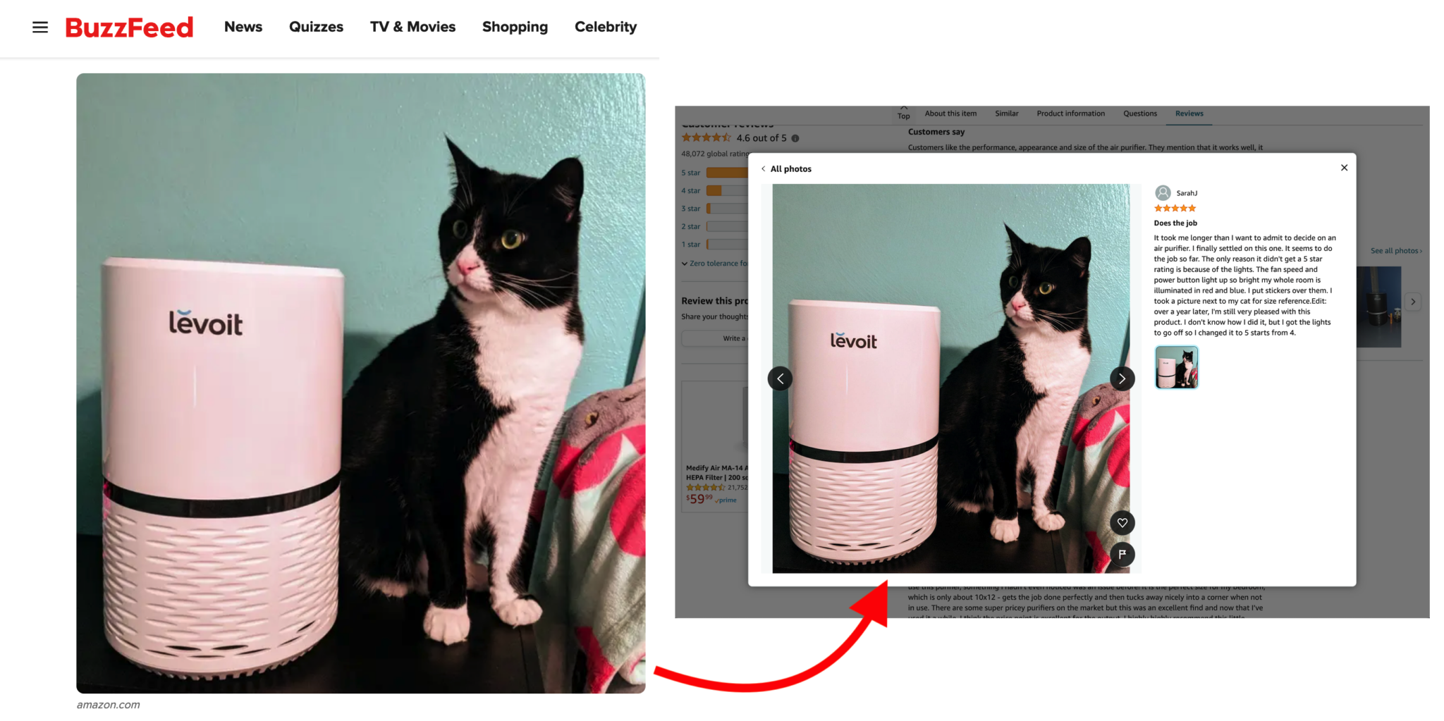 How Google is killing independent sites like ours HouseFresh