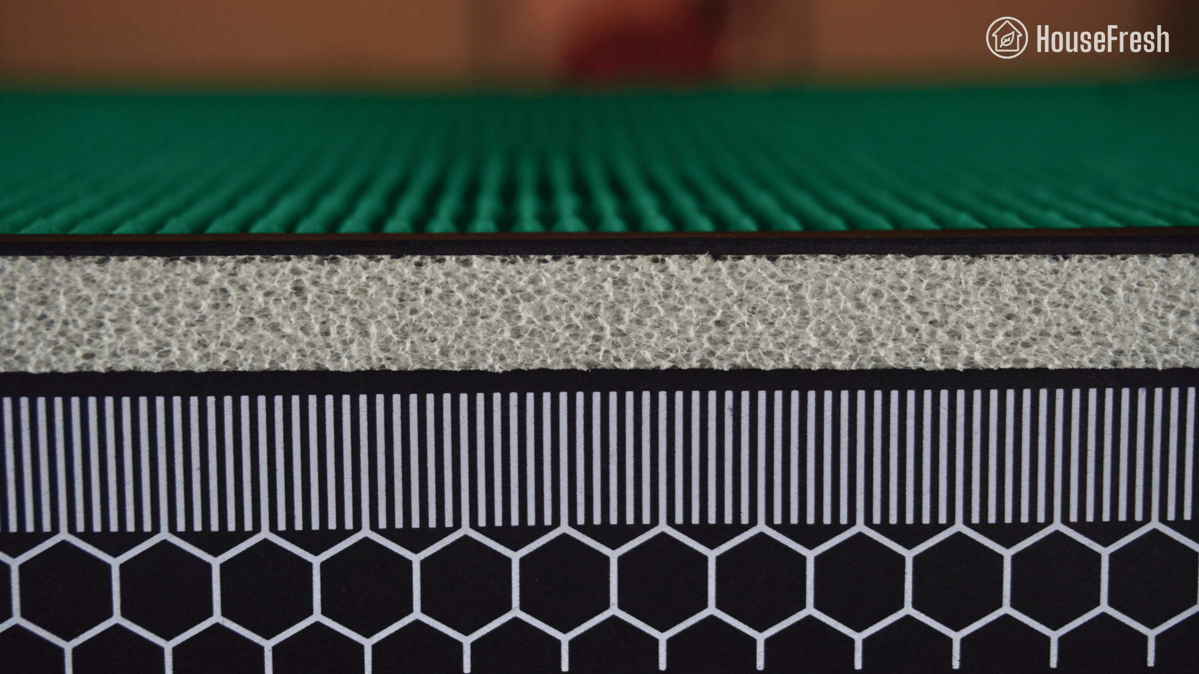 Coway Airmega 250S Filter closeup