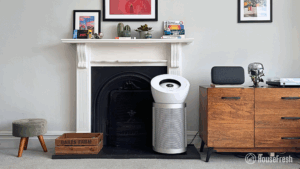 Dyson BigQuiet BP06