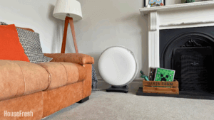 IQAir Atem X Living Room