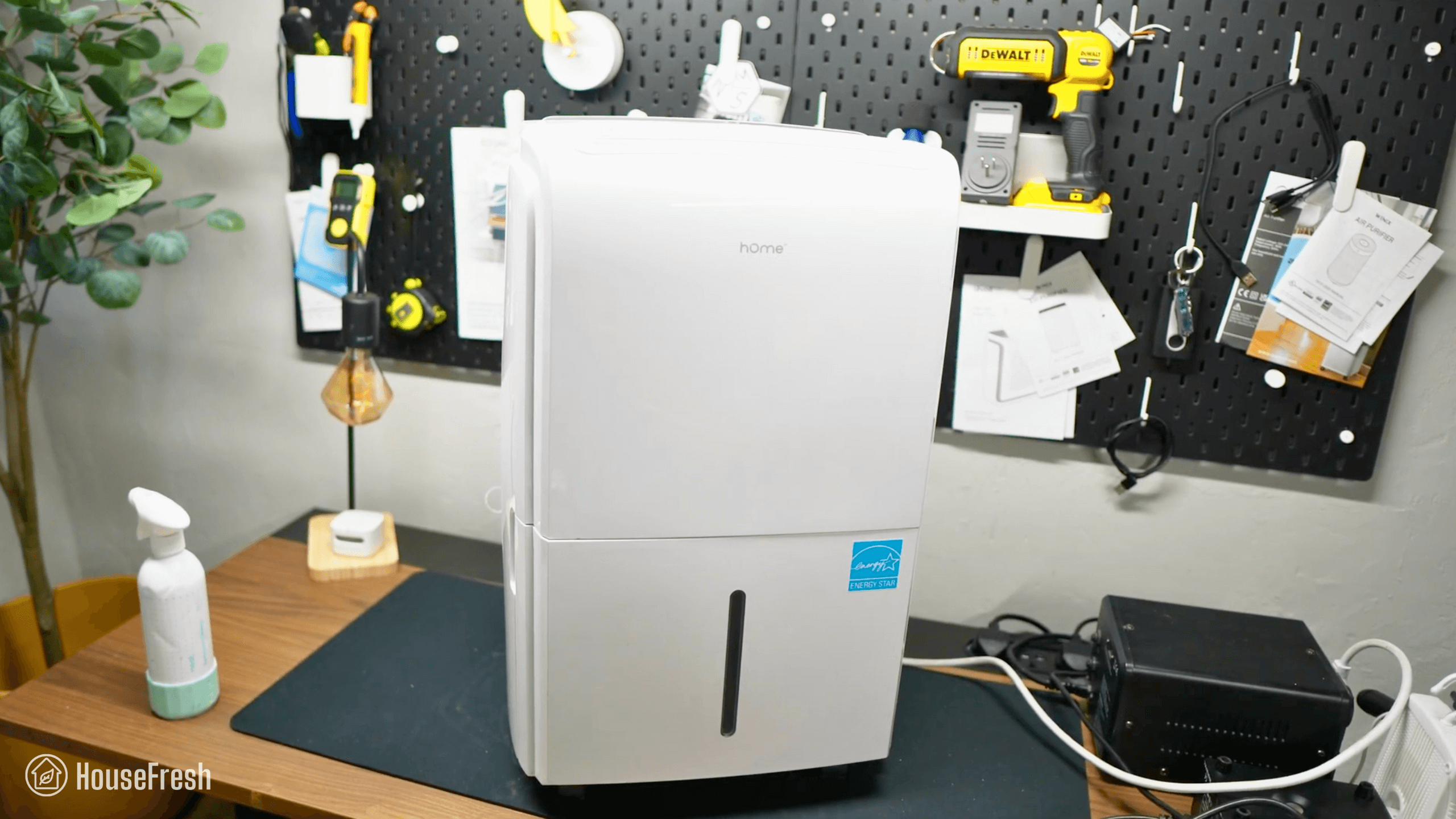 hOmeLabs 50 Pint housefresh