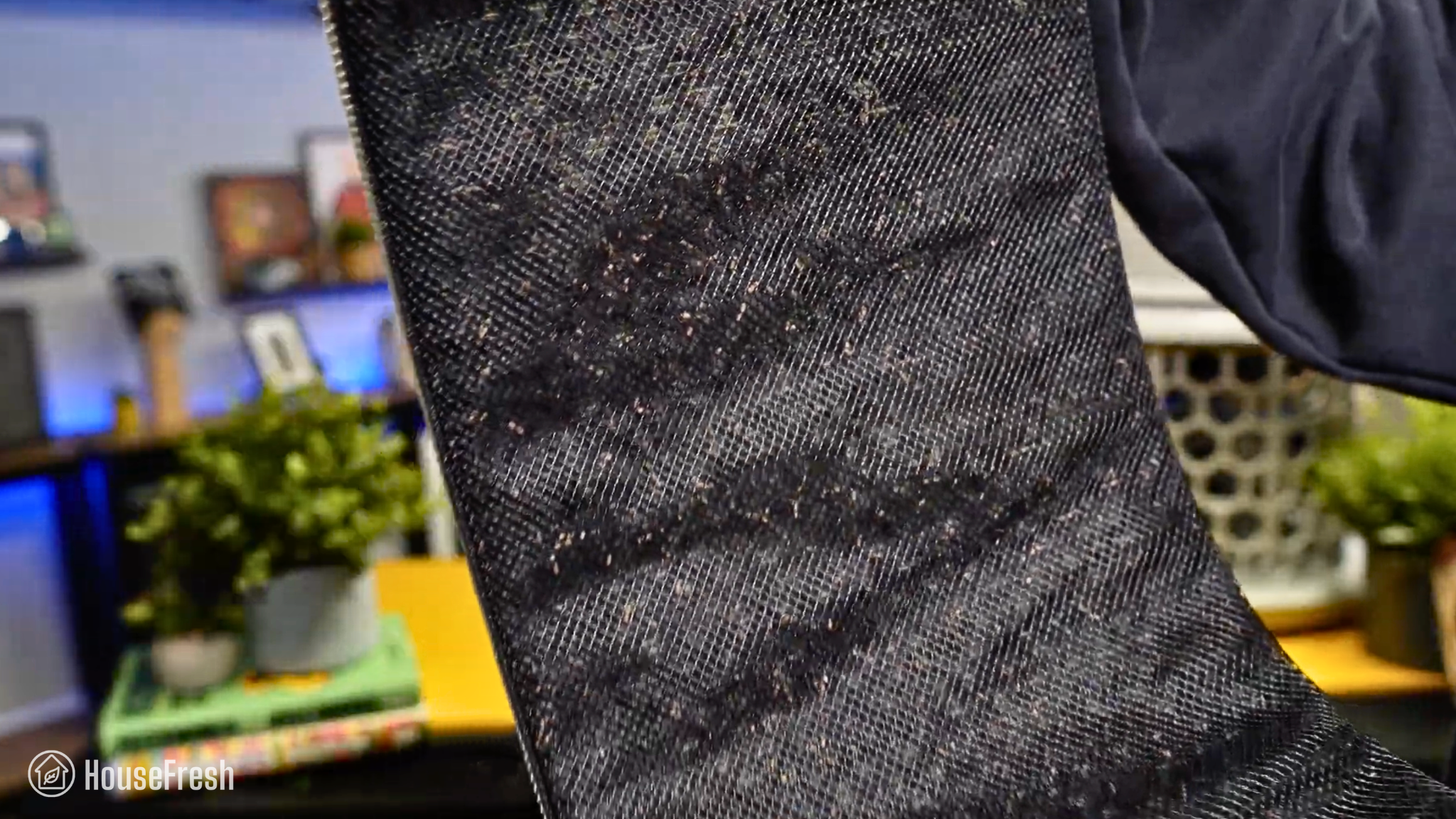 Blueair Blue Signature Carbon