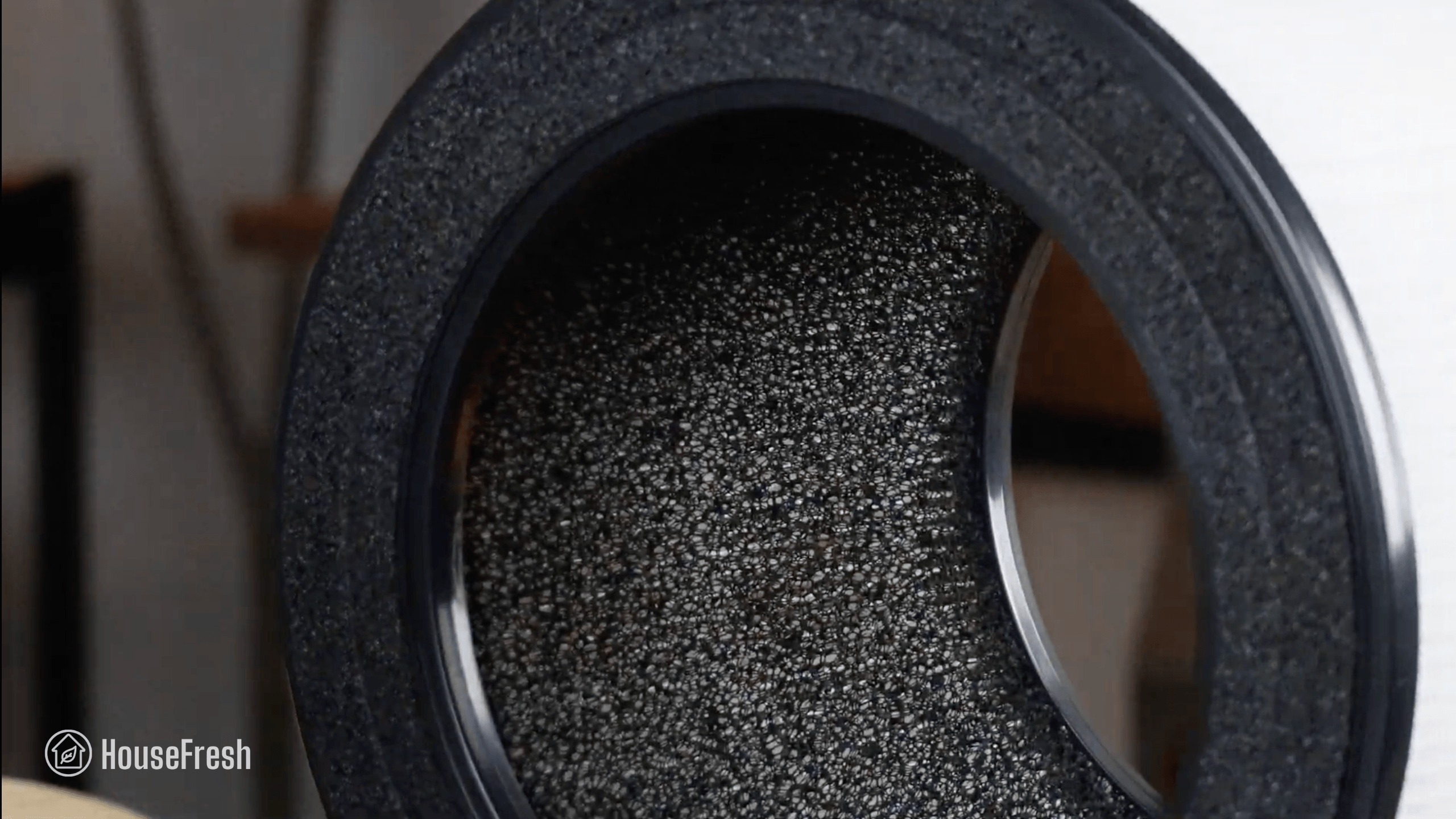 Coway Airmega 100 Carbon Filter